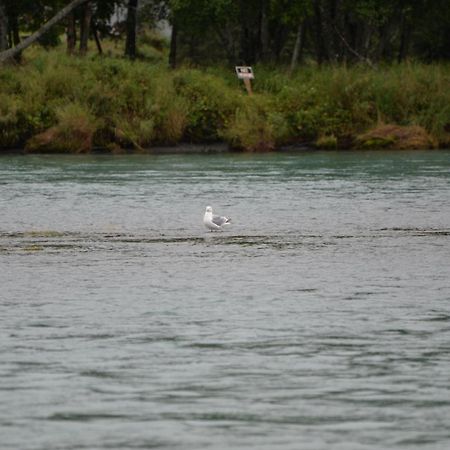 Salmon Catcher Lodgeキナイ エクステリア 写真